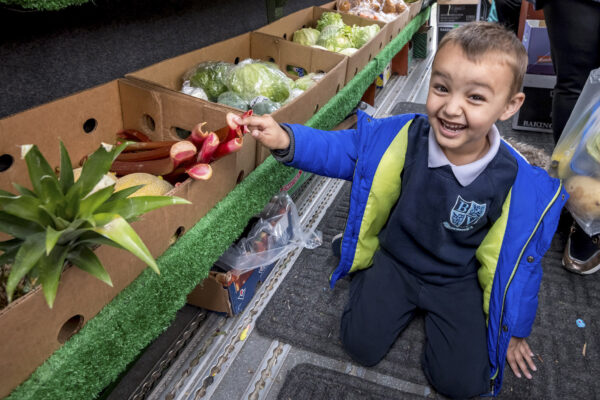 alexandra rose project liverpool