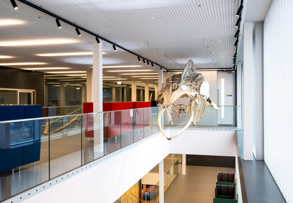 How to document your school’s new build: a photographer’s guide for marketing teams brighton college sports and science centre