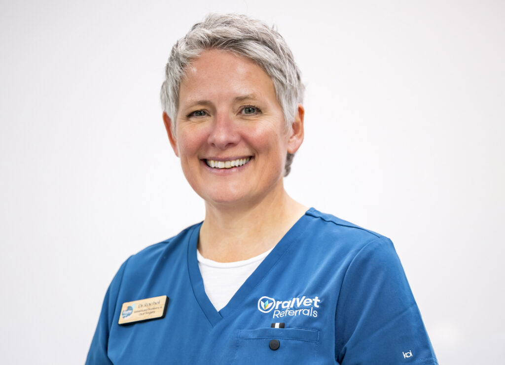 Commercial business headshot from the OralVet Referrals corporate photography project in Brighton